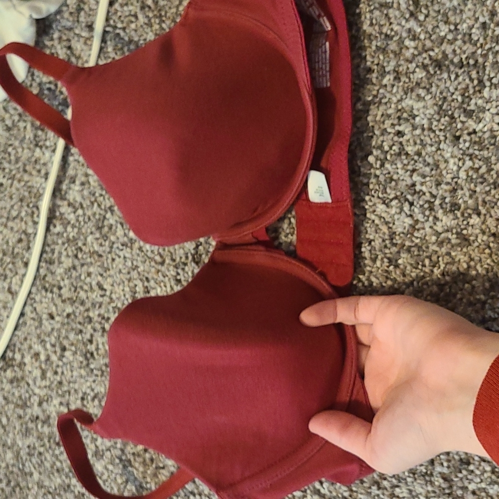 Bra